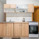 House Plovanija Villa